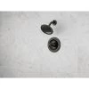 Delta Windemere Oil Rubbed Bronze 1-Handle Shower Faucet With Valve