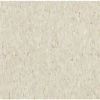 Armstrong Flooring Imperial Texture 45-Piece Pebble Tan Commercial VCT Tile -Master Lock Store 042369030649xl 1800x1800