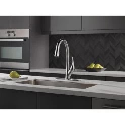 Esque Single-Handle Pull-Down Sprayer Kitchen Faucet With ShieldSpray Technology In Arctic Stainless -Master Lock Store 325b8657bf59d9acdc8177790654c946 1800x1800