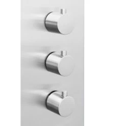 AKDY 58-in Stainless Steel 2-Spray Shower Panel System (Valve Included) -Master Lock Store 810764023746 10486340 1800x1800