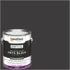 ColorPlace Pre Mixed Ready To Use, Interior Paint, Onyx Black, Semi-Gloss Finish, 1 Gallon