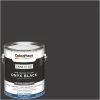 ColorPlace Pre Mixed Ready To Use, Interior Paint, Onyx Black,Semi-Gloss Finish, 1 Gallon