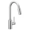 Genta Single-Handle Pull-Down Sprayer Kitchen Faucet With Reflex In Chrome