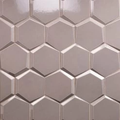 Magen Leveled-Hex Gray Polished Ceramic Hexagon Tile