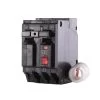 20 Amp Double Pole Ground Fault Breaker With Self-Test