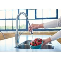 Genta Single-Handle Pull-Down Sprayer Kitchen Faucet With Reflex In Chrome -Master Lock Store efb556554d75b2d3e5a3d5680599b4be 1800x1800